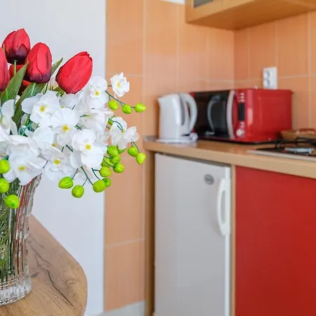 Sani 게스트하우스 브렐라